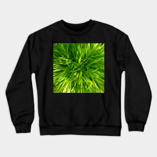 Time for a Rest in the Green Luscious Grass of Heaven Crewneck Sweatshirt